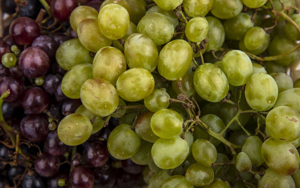 Користь винограду