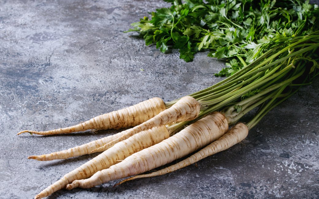корінь петрушки