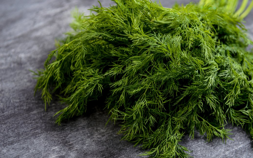 Зелений кріп