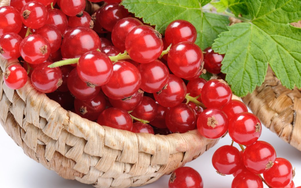 Червоні порічки