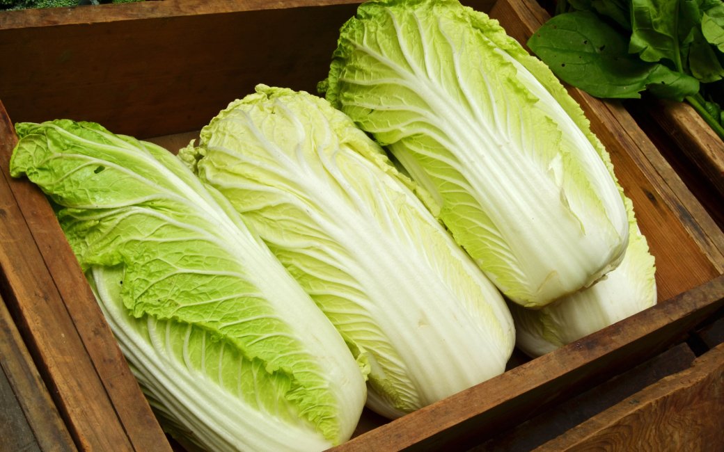 Пекінська капуста