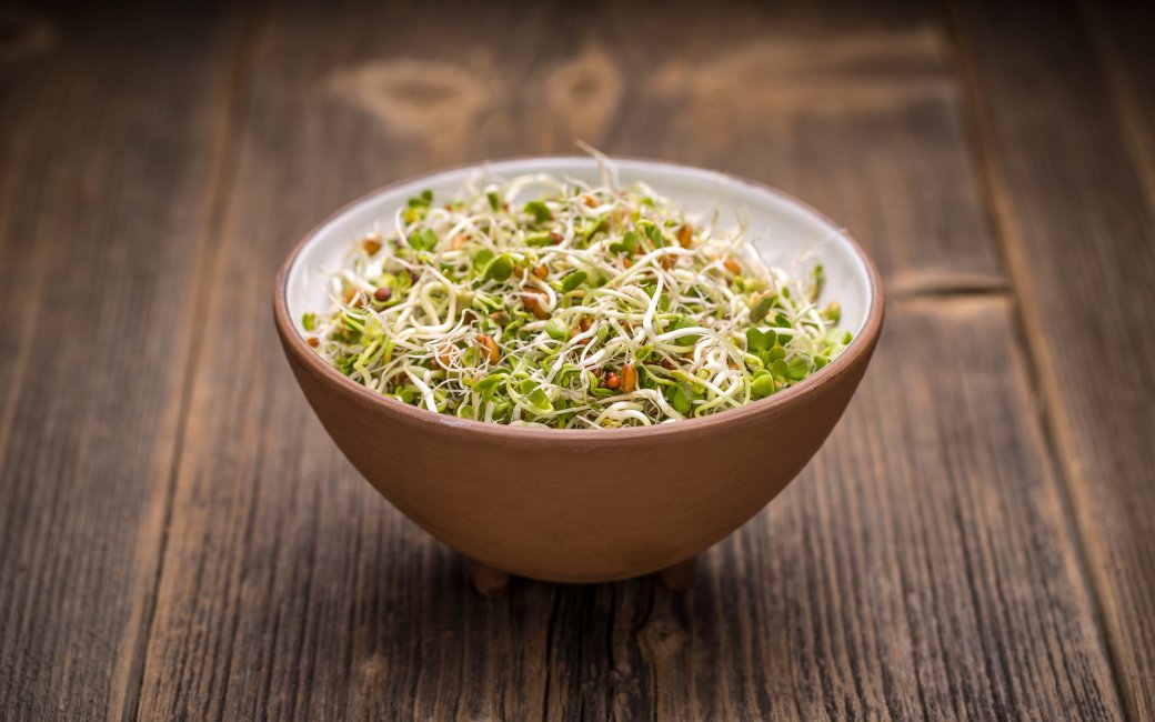 Паростки пшениці