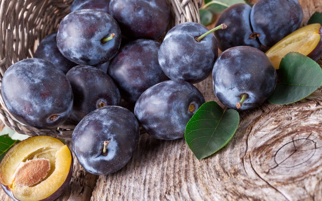 Слива угорка