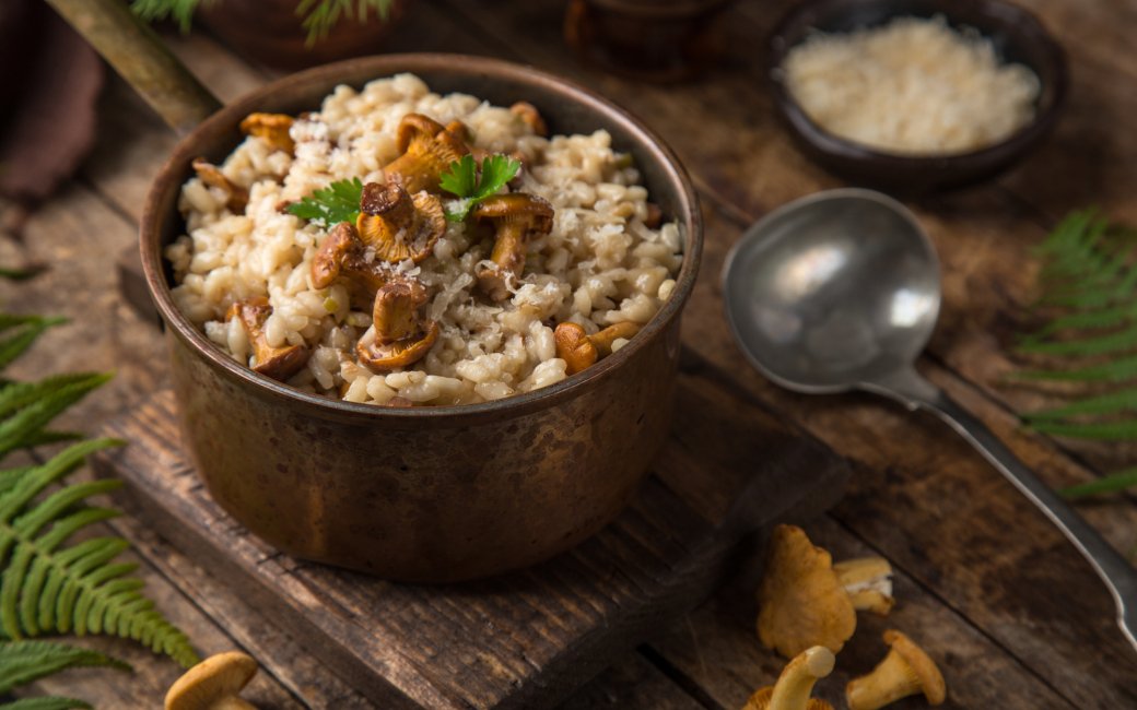 Як готувати лисички