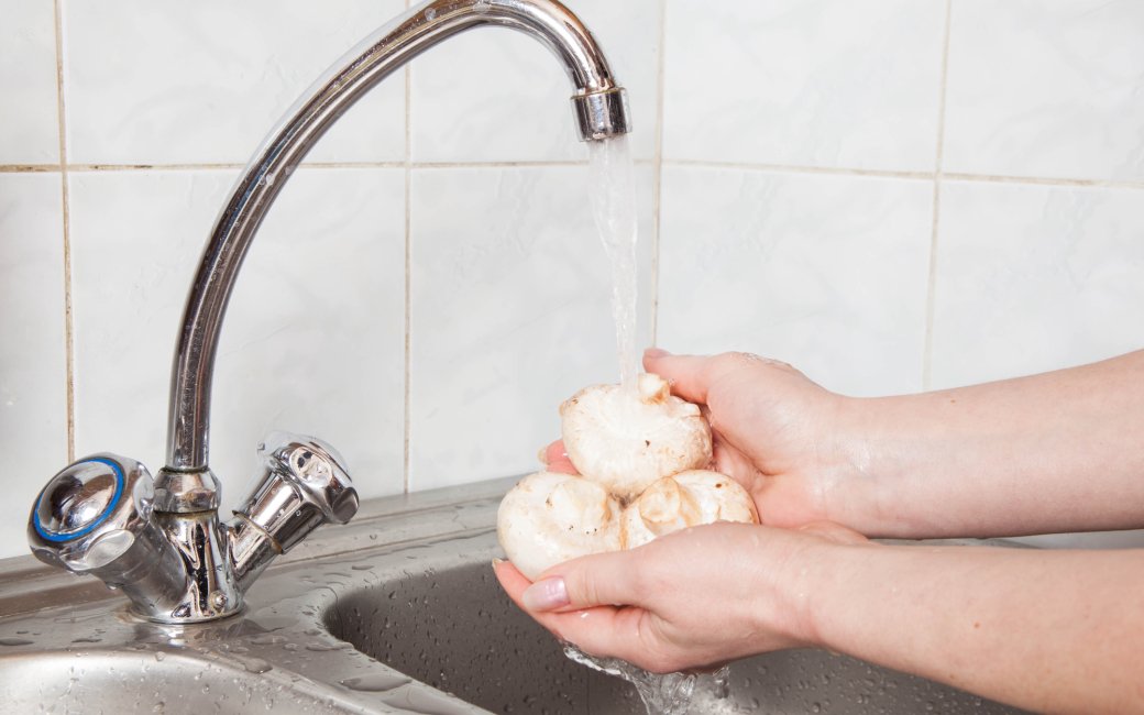 Миття грибів