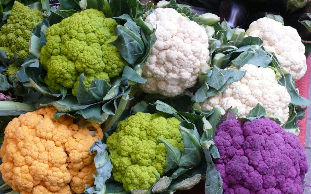 Цвітна капуста