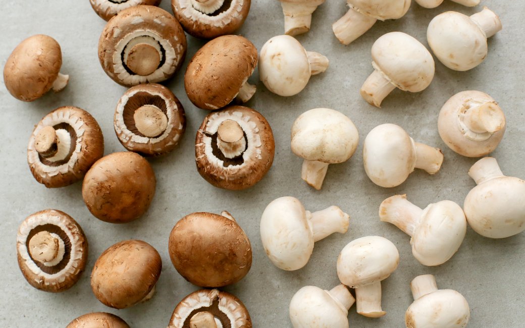 Чи можна дітям гриби