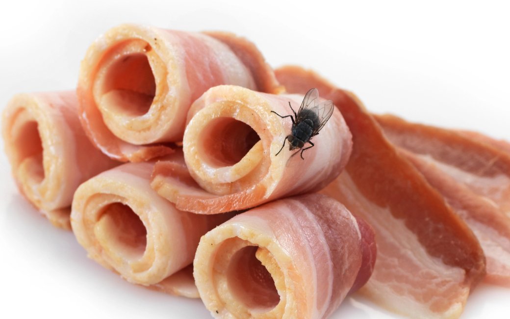 Як позбутися мух