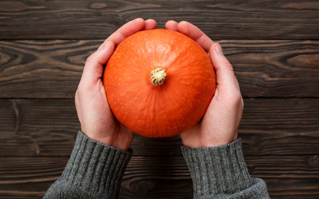 Гарбуз хоккайдо