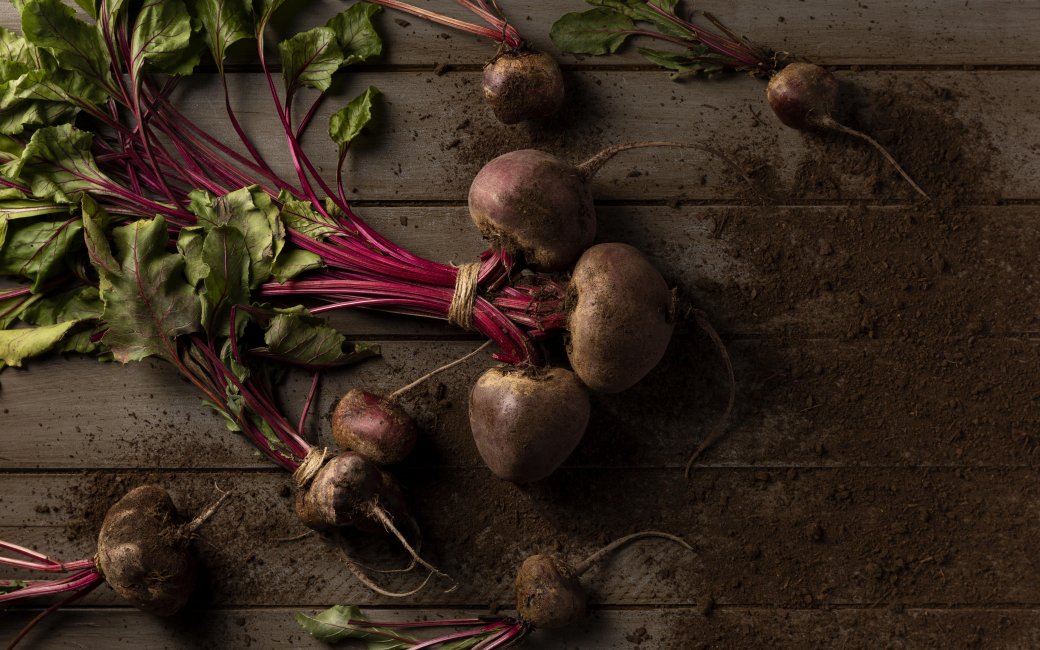 Столовий буряк