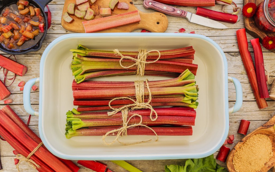 Як готувати ревінь