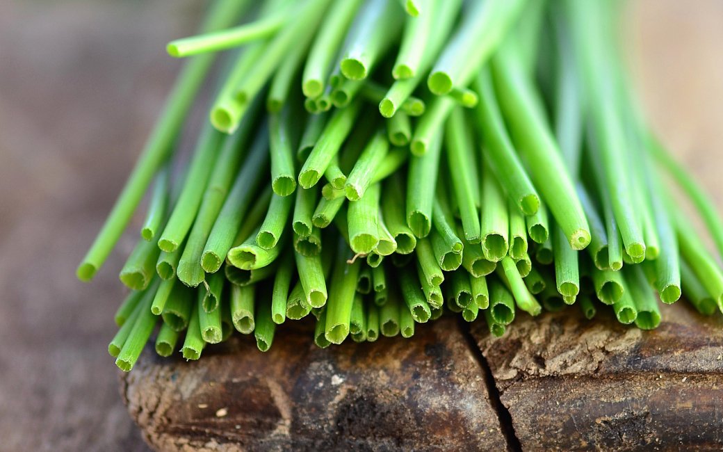 Зелена цибуля