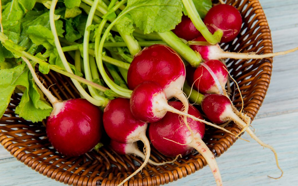 Редиска