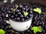 Черная смородина без сахара