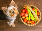 Як ввести овочі в раціон собаки