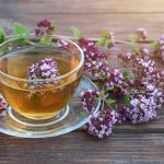 Бадьорий домашній чай з орегано