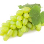 Виноград білий