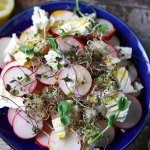 Салат з редискою і сиром — рецепт зі смачною заправкою