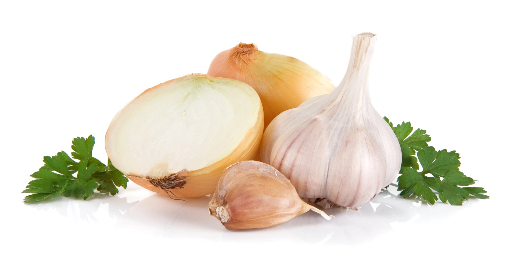 Часник і цибуля