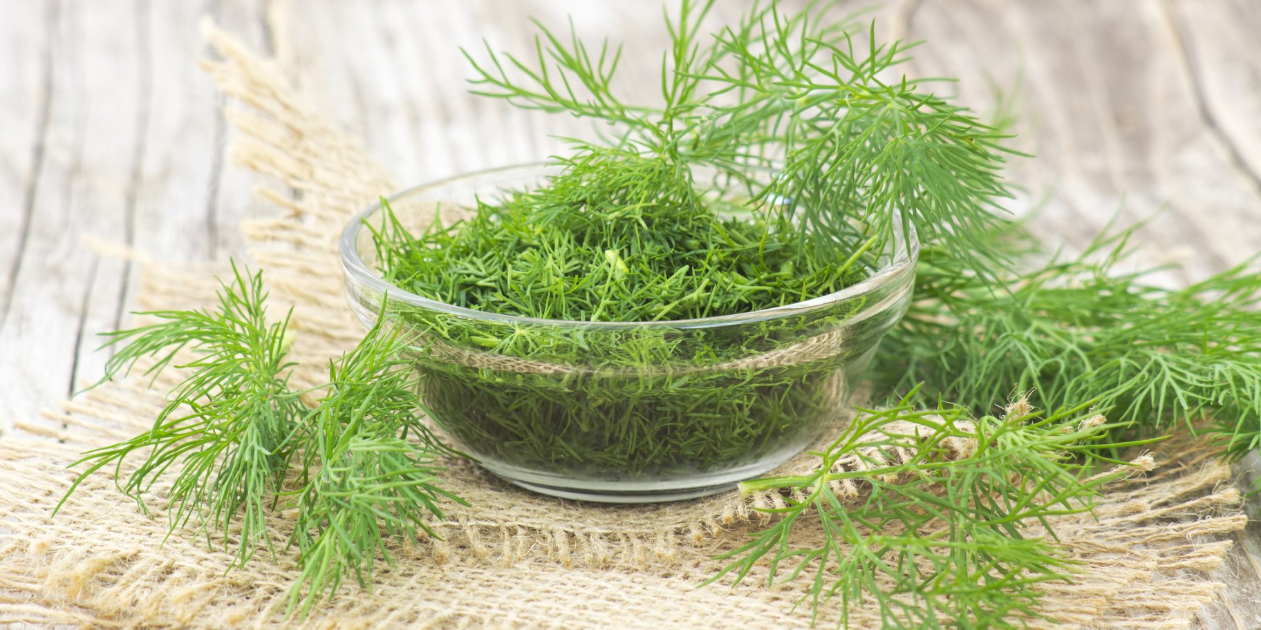 Кріп на зиму