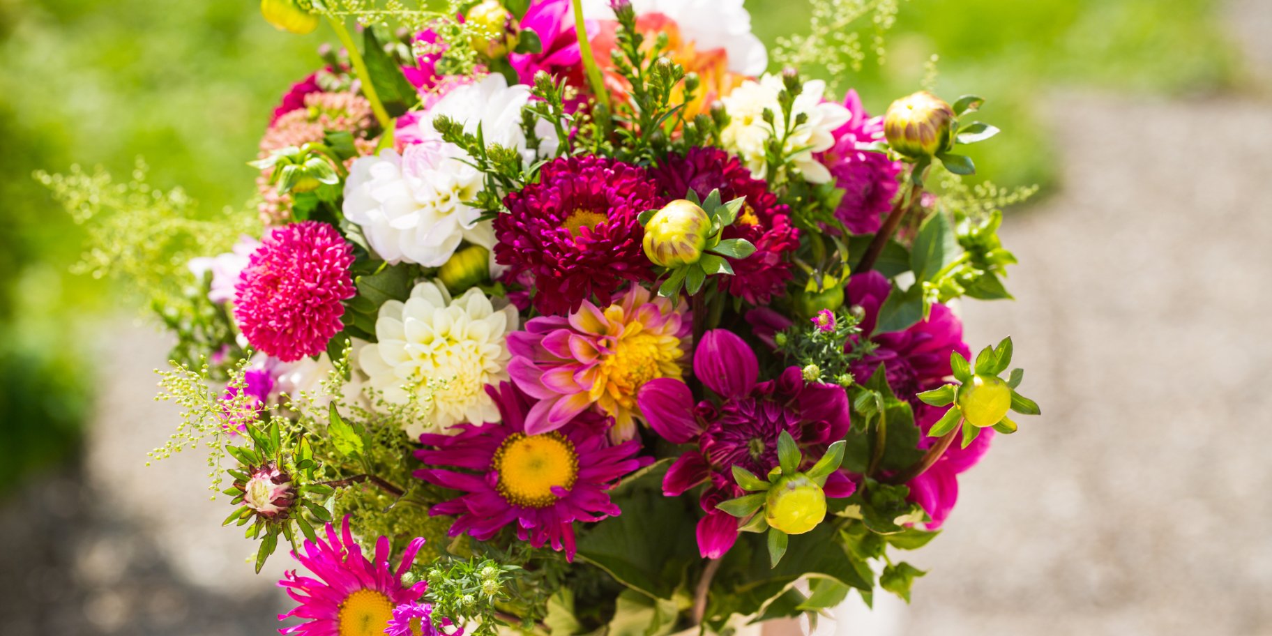 Букет айстр і жоржин