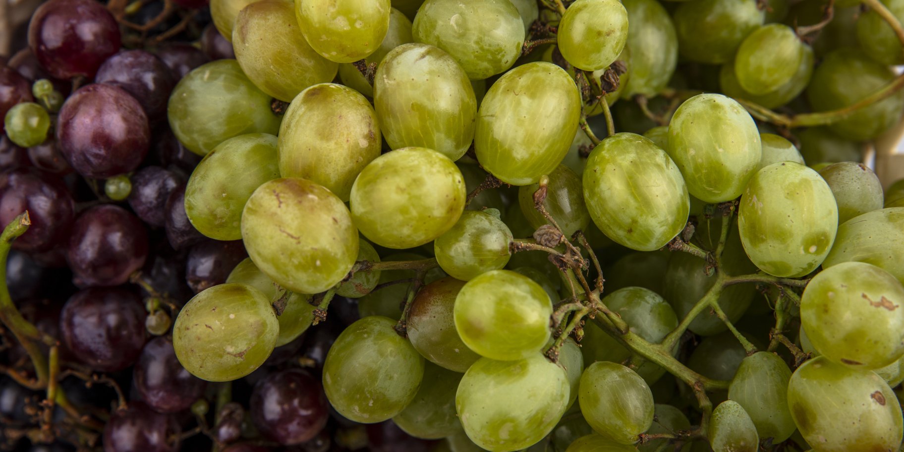 Користь винограду