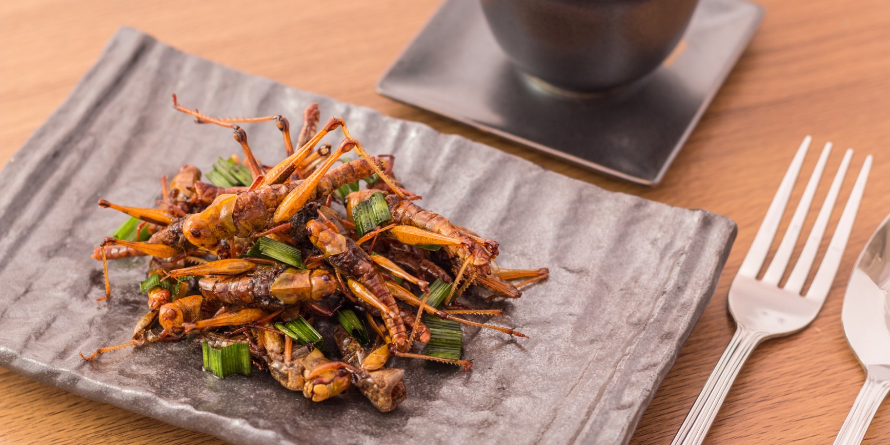 Смажені коники