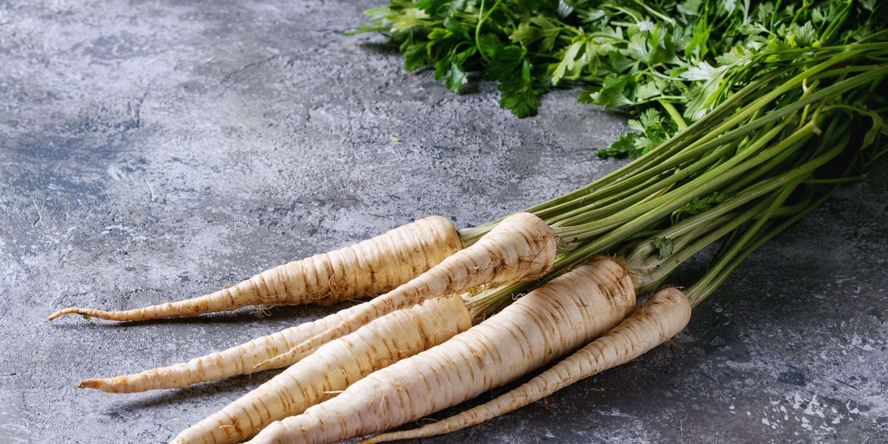 корінь петрушки