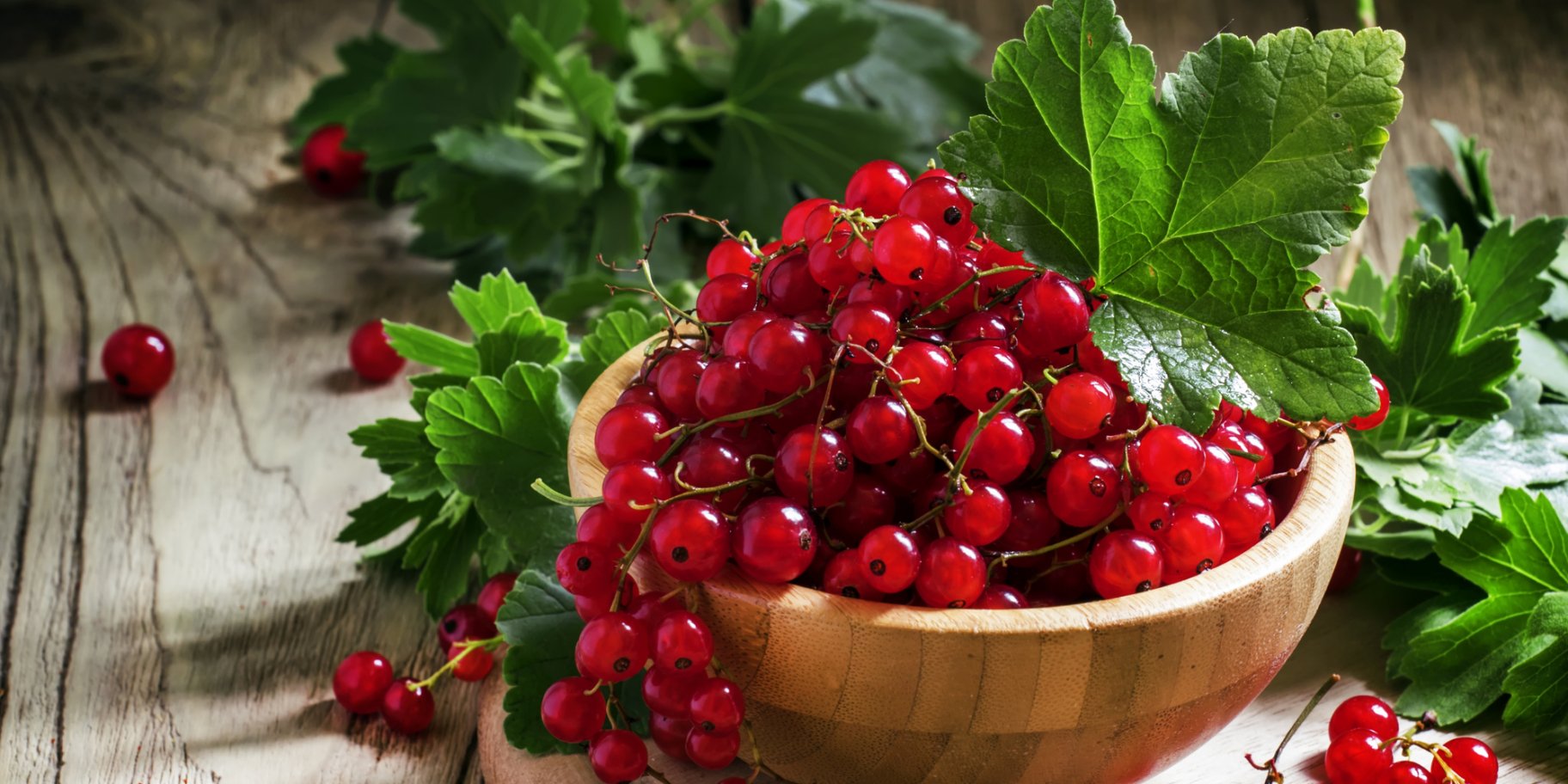 червона порічка