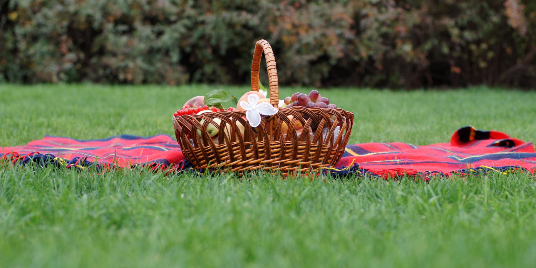 кошик для пікніка на траві