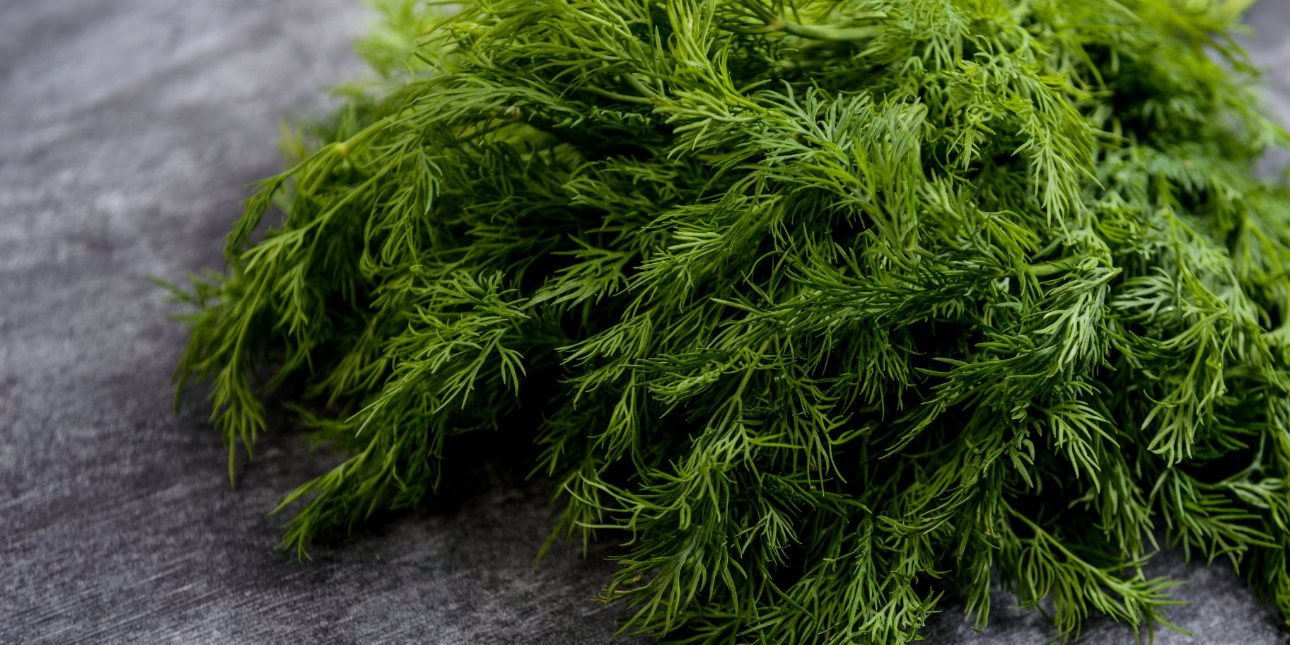 Зелений кріп