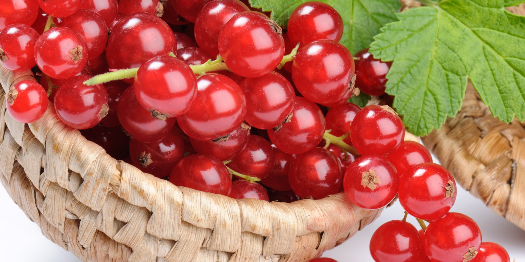 Червоні порічки