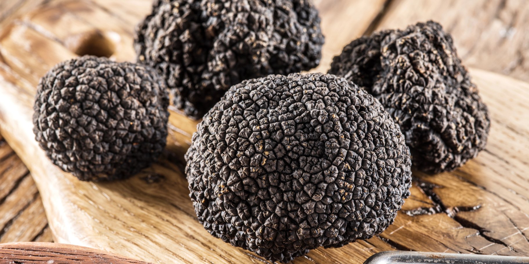 Грибы трюфели