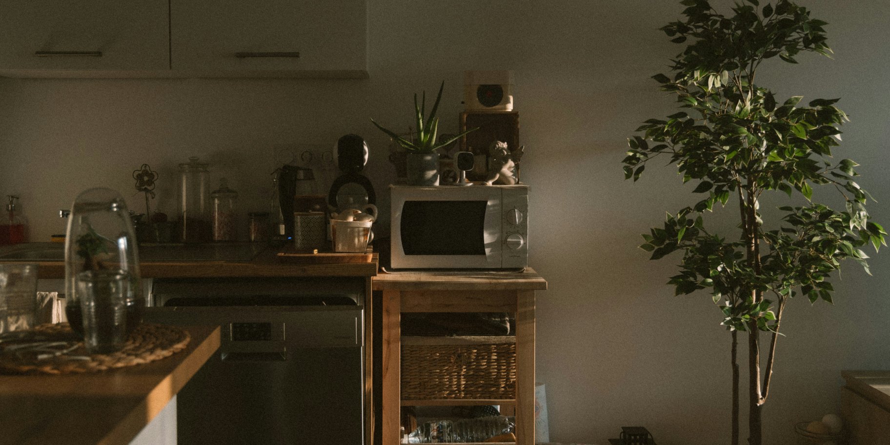 Мікрохвильова піч