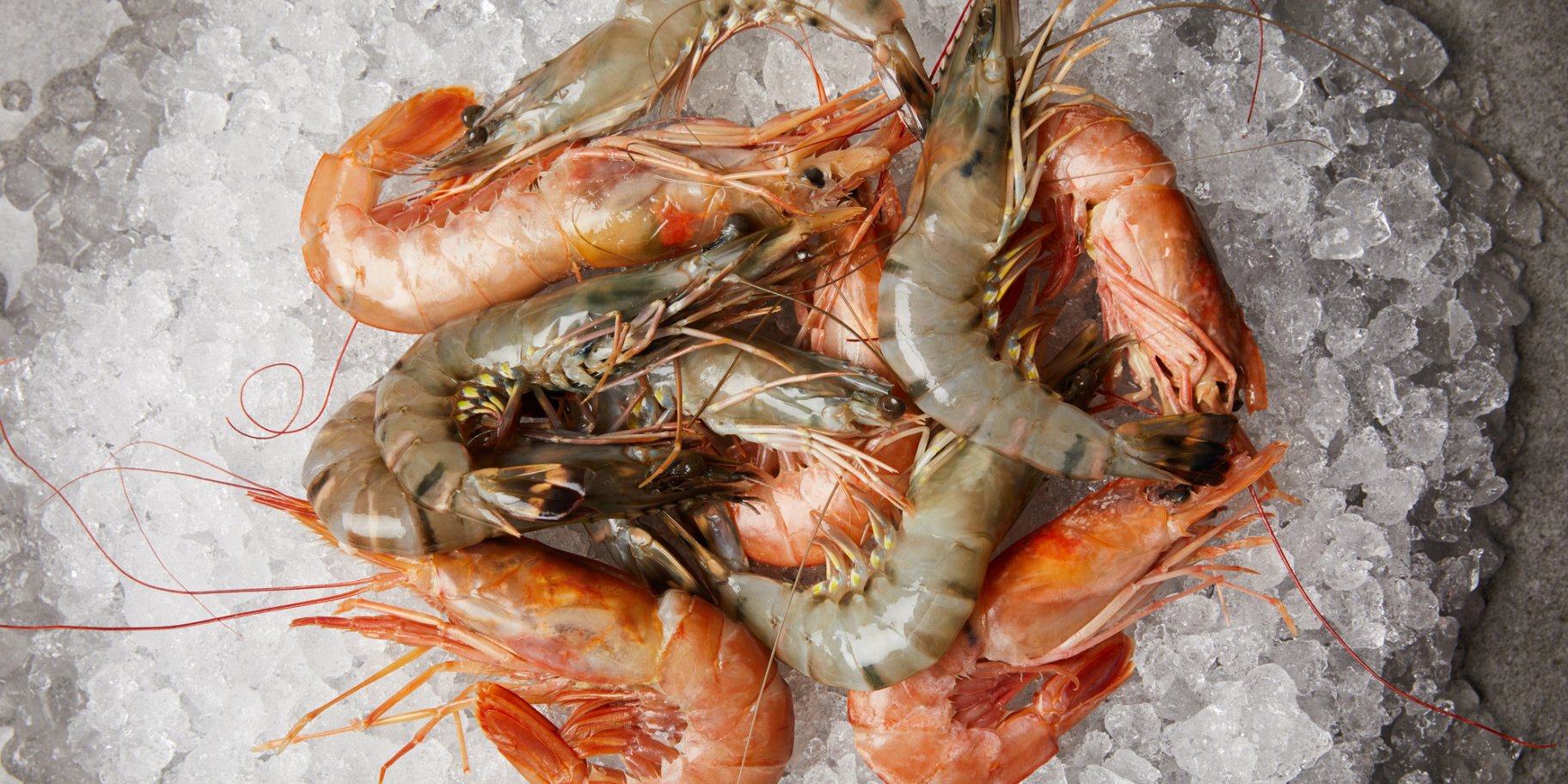Як вибрати найсмачніші креветки