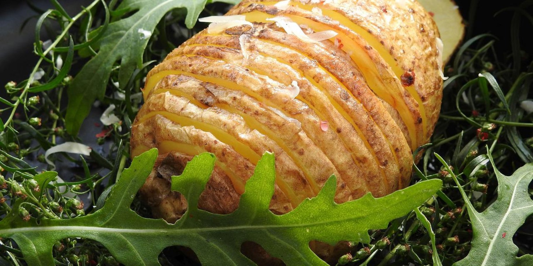 картопля гасельбек