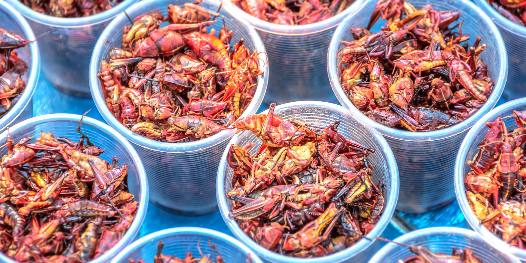 смажені коники