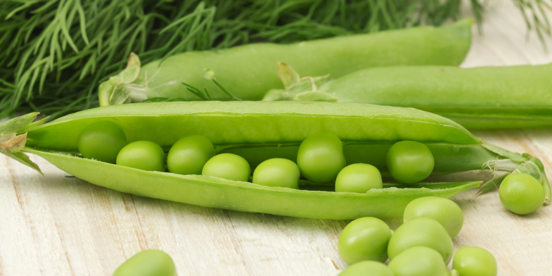 Зеленый горошек