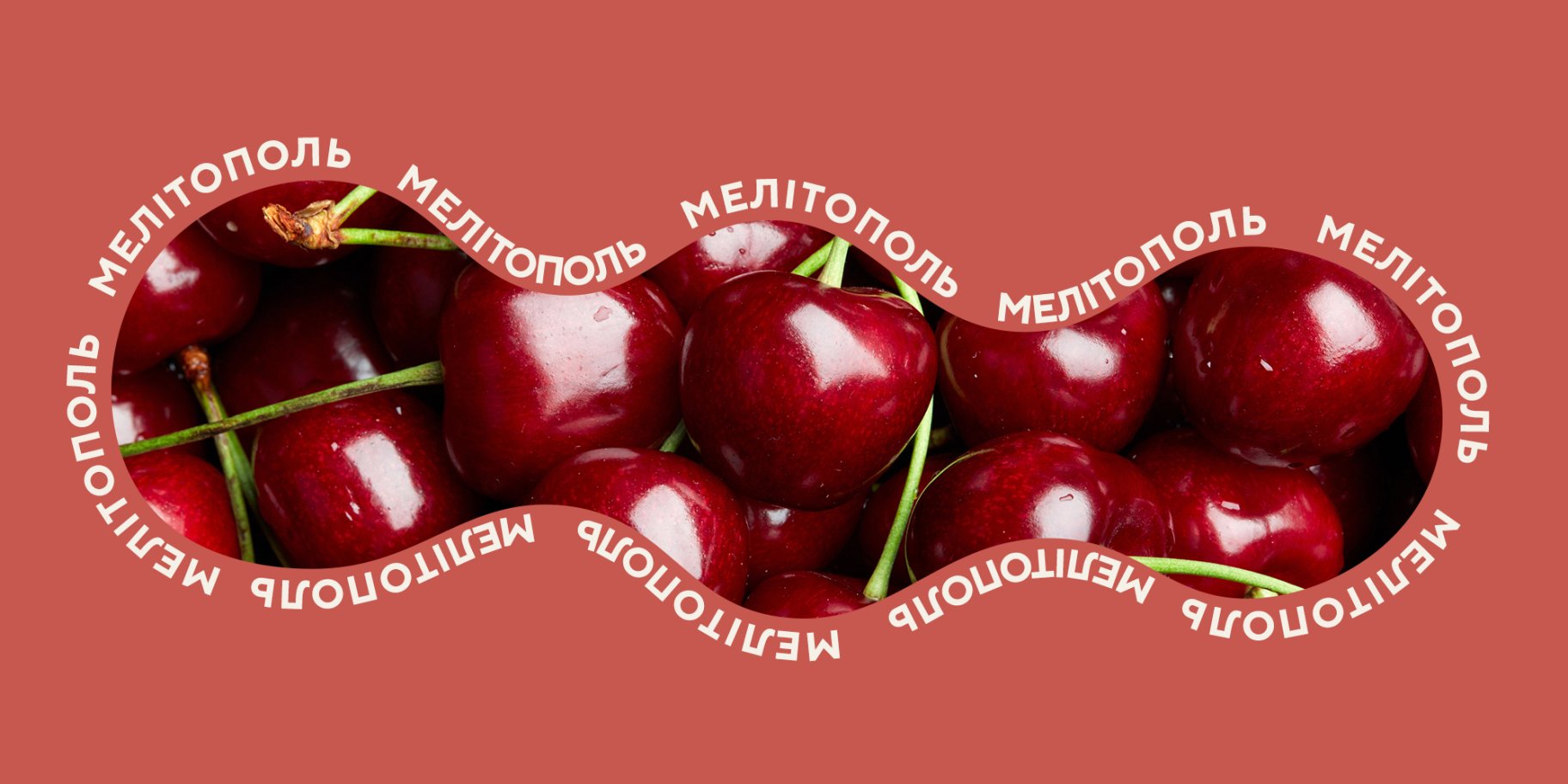 Мелітопольська черешня