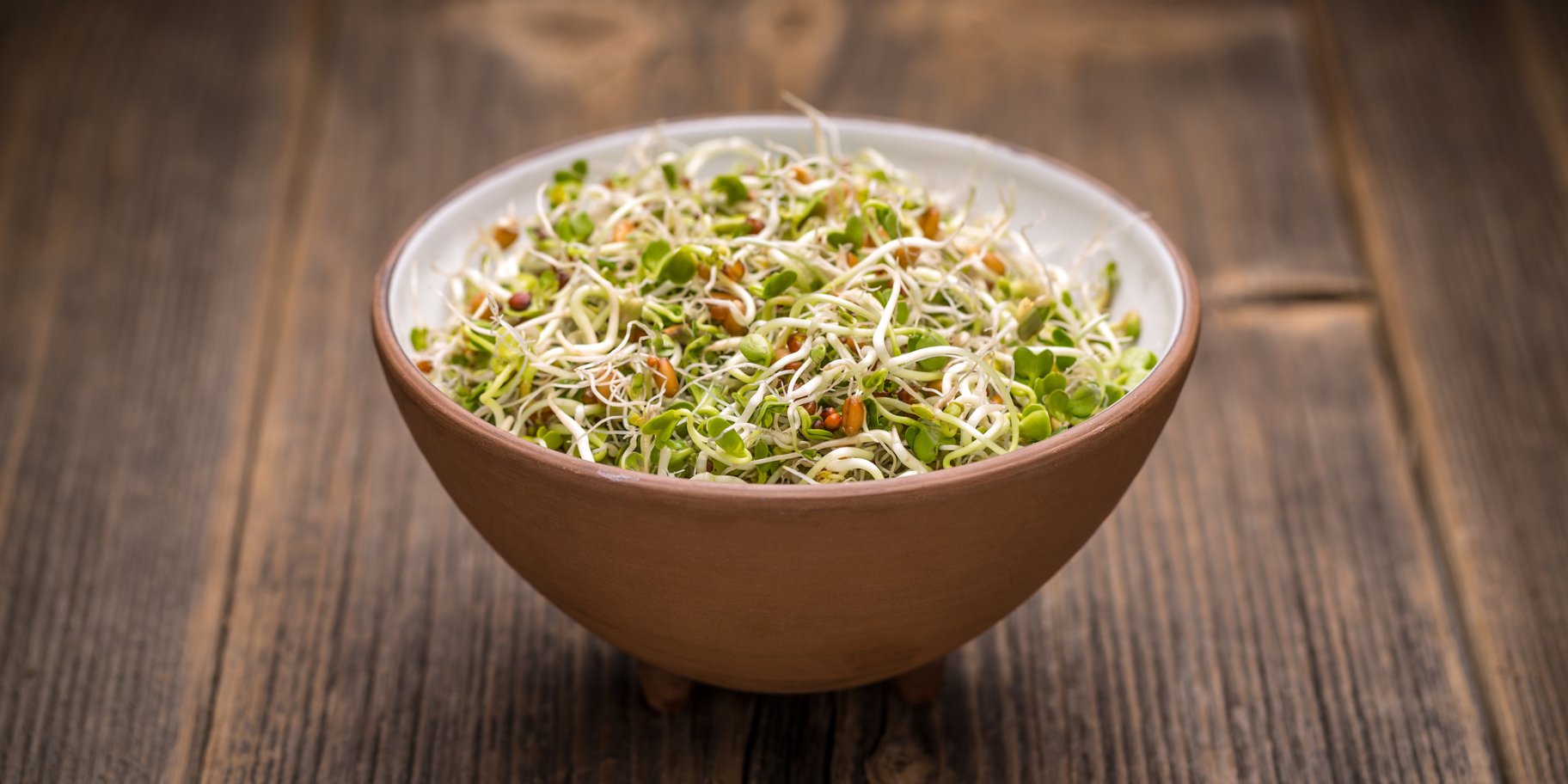 Паростки пшениці