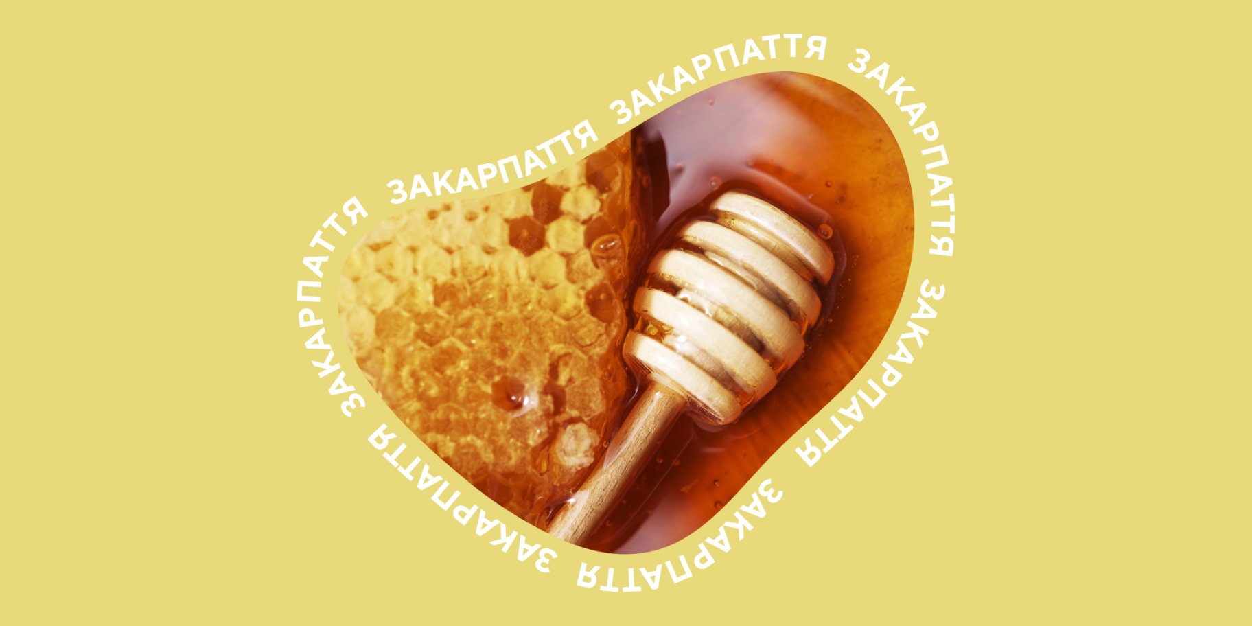 меди Закарпаття