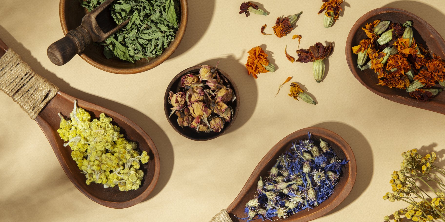 Що таке адаптогени