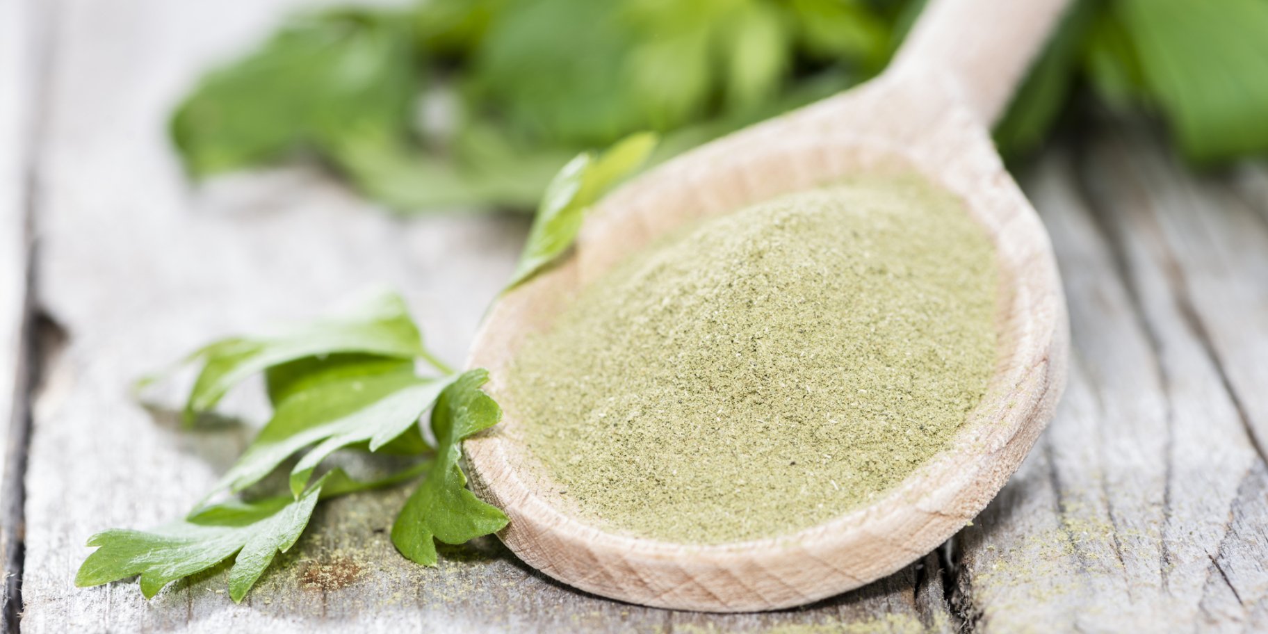 Порошок сельдерея