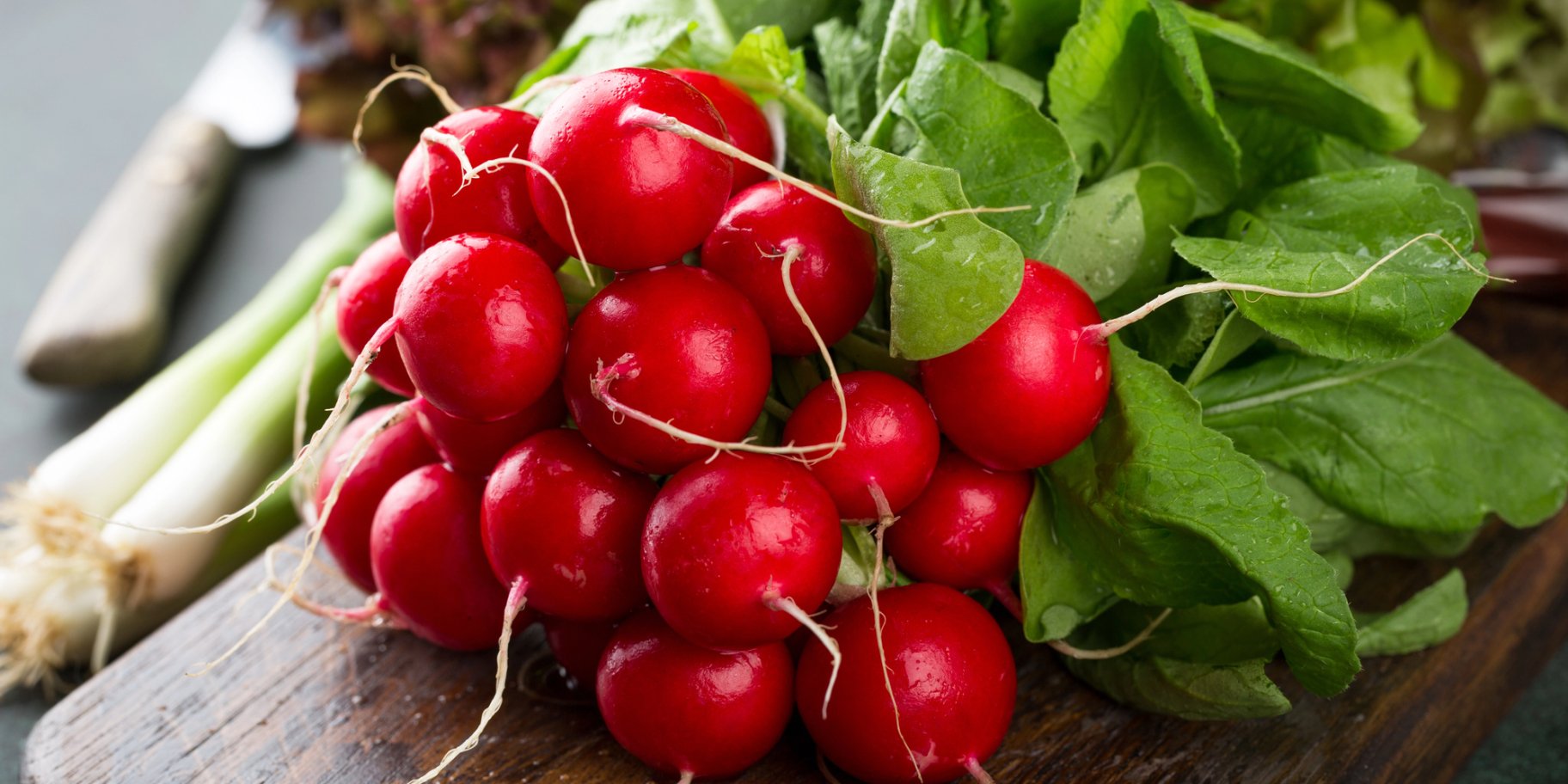 Як прибрати гіркоту редиски