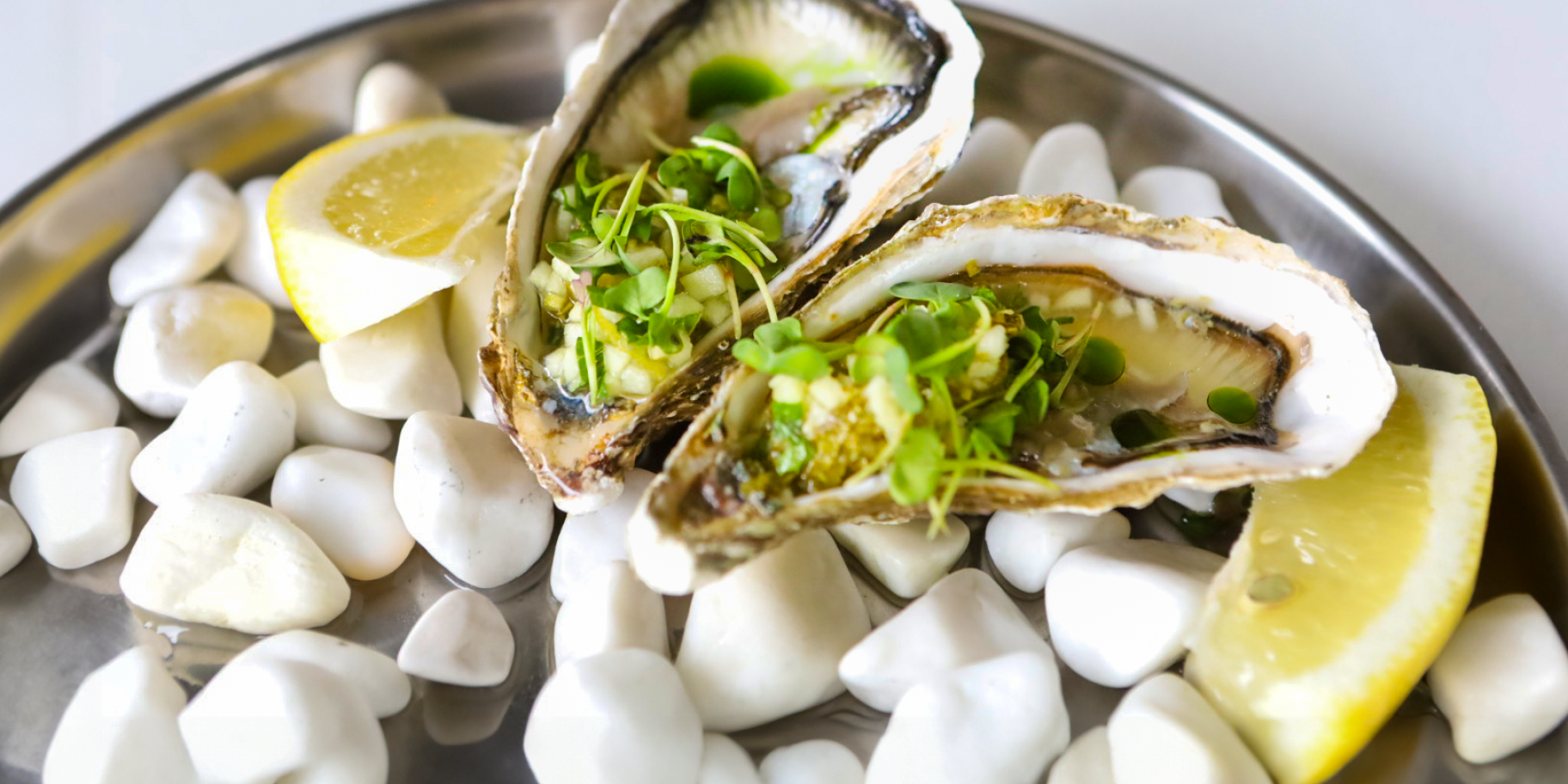 Устриці з тартаром з чилі та кінзою