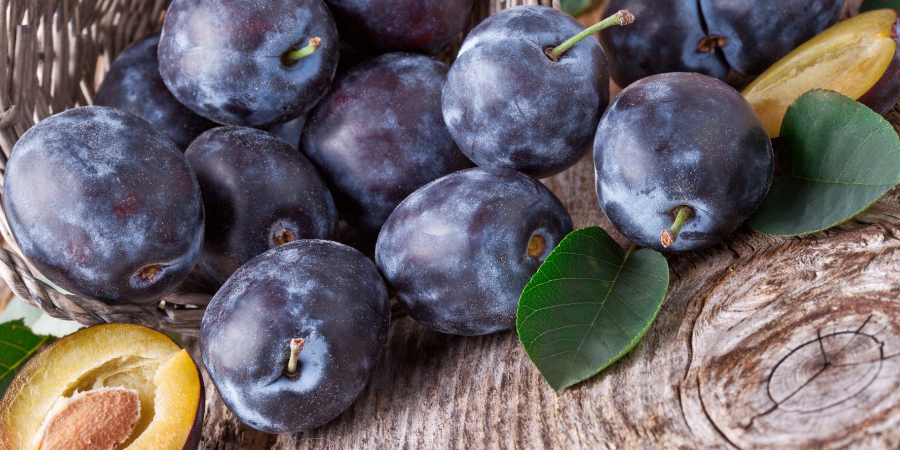 Слива угорка