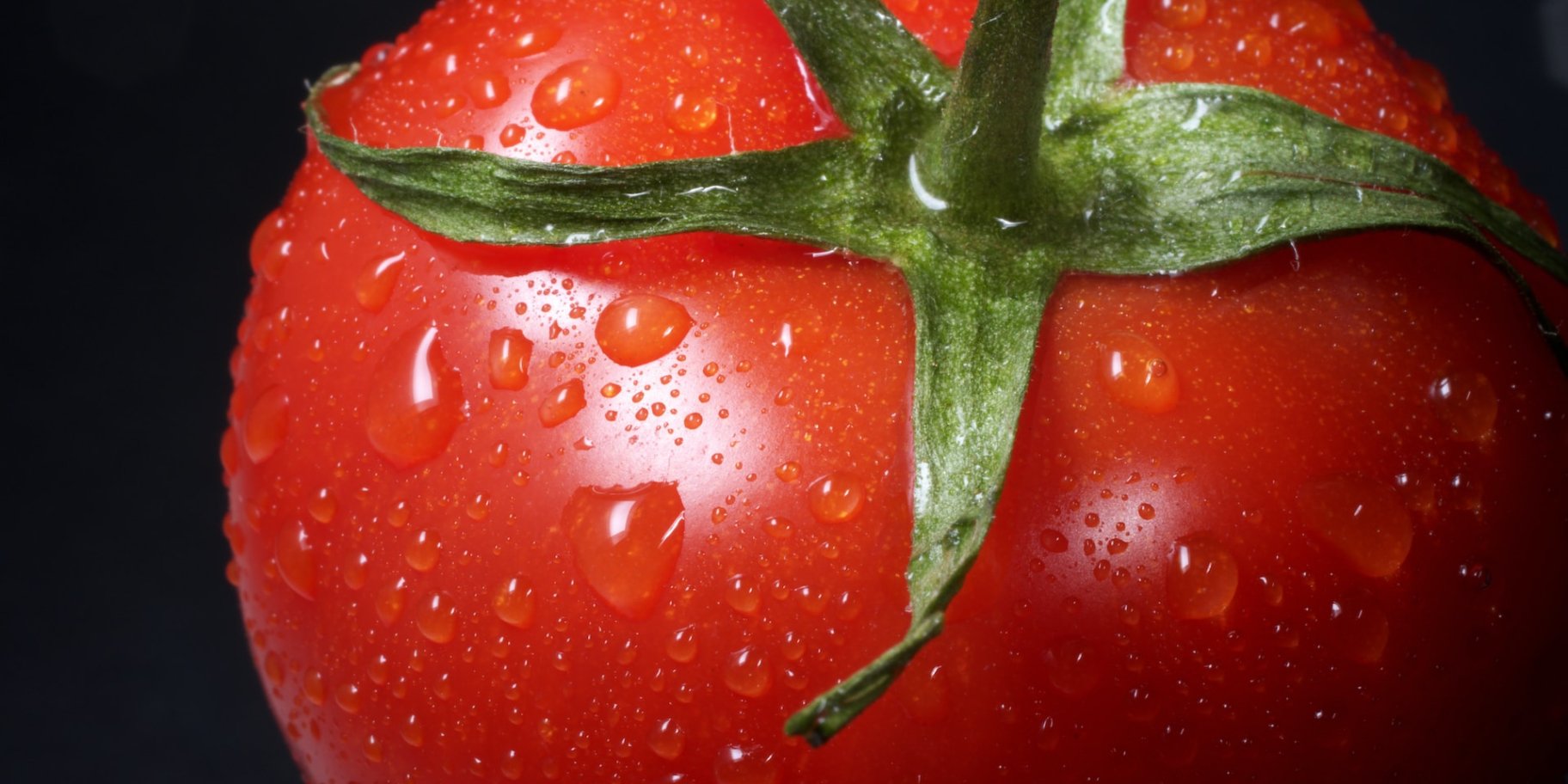 томат помідор