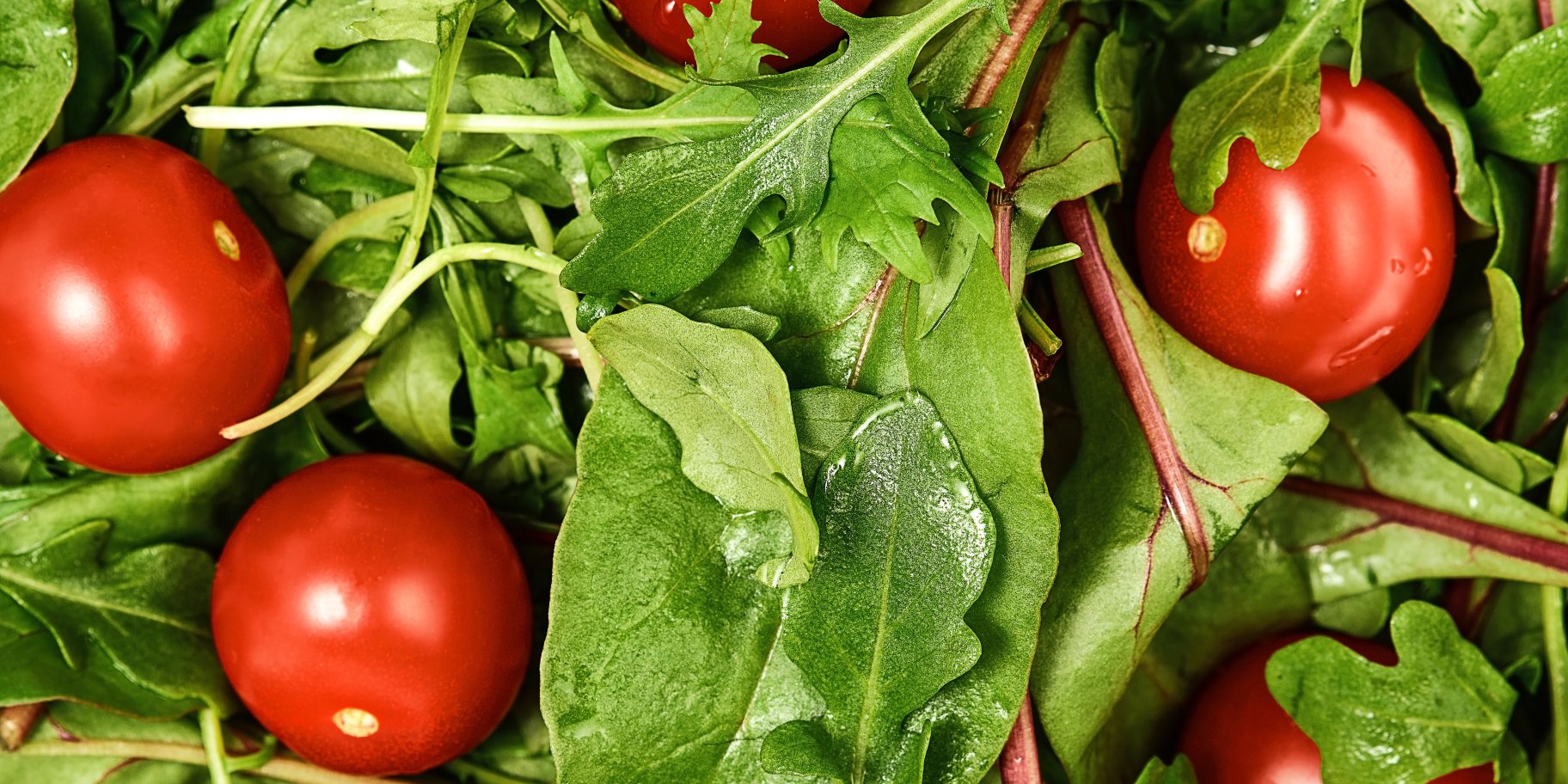 Салатная зелень