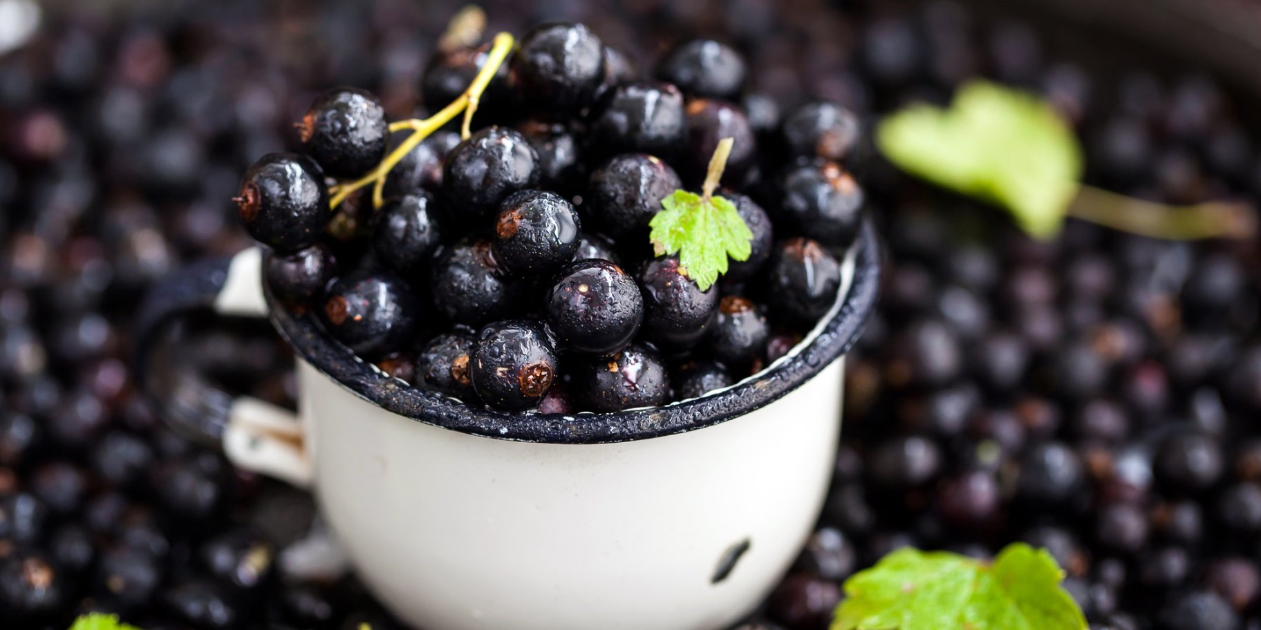 Смородина без цукру