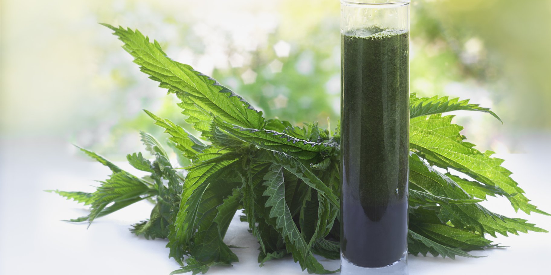 Смузі з кропиви